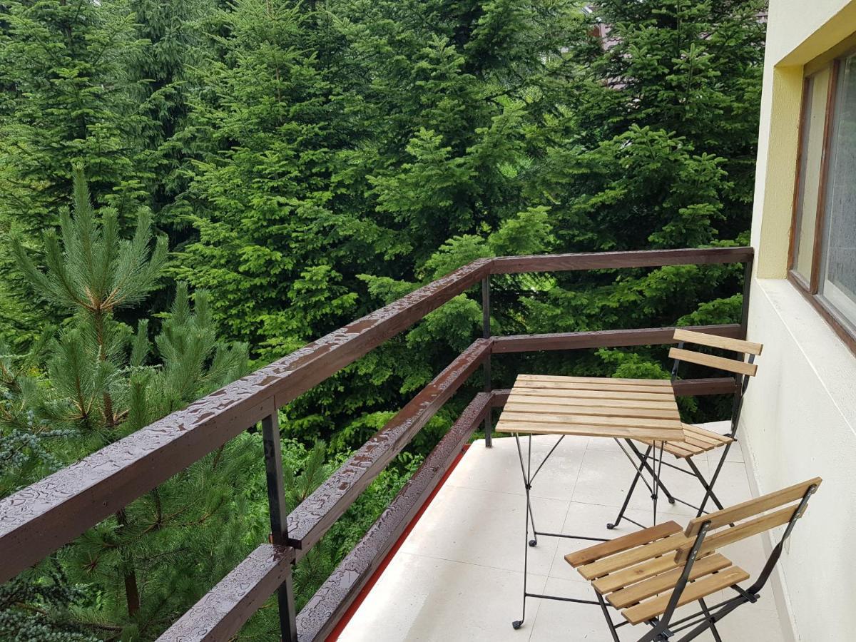 Forest Apartments By Olala Homes Sinaia Exterior photo